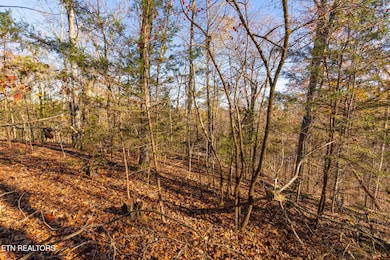 0 Moonside Ln, Sevierville, TN 37876 - photo 7