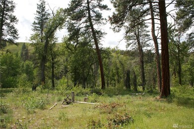 0 Lot 3 David Coates Short Plat unit 1116498, Twisp, WA 98856 - photo 4