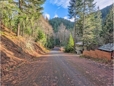 00971354 E Rolling Green Ct, Mount Hood Village, OR 97067 - photo 2