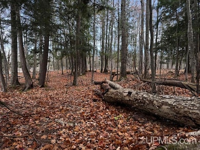 TBD Skanee Rd, Skanee, MI 49962 - photo 4