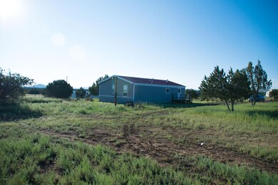 8790 Roundup Dr, Show Low, AZ 85901 - photo 3