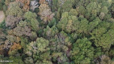 0 Mount Sinai Rd, Foxworth, MS 39483 - photo 7