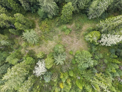 000 Williams Creek Rd, Ferndale, CA 95536 - photo 3