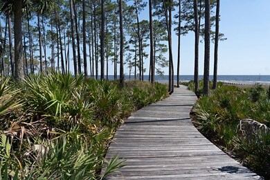 158 Lightning Bug Ln, Saint Teresa, FL 32358 - photo 4