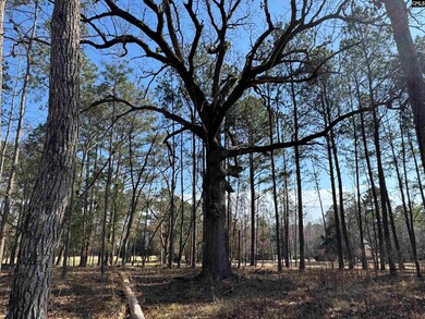 0 Misty Banks Dr unit 605235, Chapin, SC 29036 - photo 5