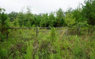 334 NW Battlehill Ln, Lake City, FL 32055 - photo 2