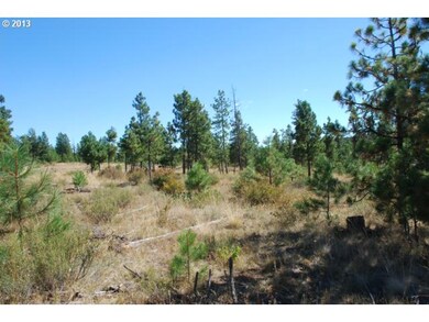 0 Pine Creek Rd unit 3 12336471, Bickleton, WA 99322 - photo 3
