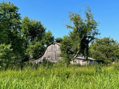 24 Old Chestnut Ridge Rd, Petersburg, TN 37144 - photo 5