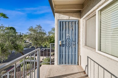 3141 E Cypress St unit 7, Phoenix, AZ 85008 - photo 2