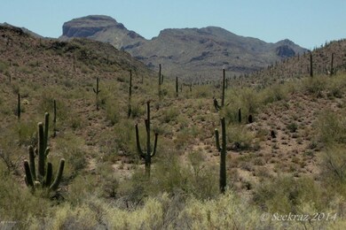 Lake Pleasant Pic 6