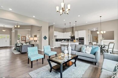 0 Unknown unit MIS25074823, Dardenne Prairie, MO 63368 - photo 5