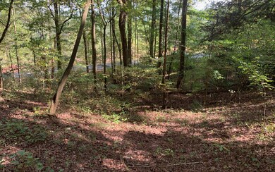 0 Flat Branch Rd unit 311525, Ellijay, GA 30540 - photo 2