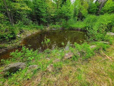 1088 Vermont 105, Bloomfield, VT 05905 - photo 4