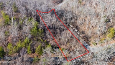 919 Sparrow Way, Sharps Chapel, TN 37866 - photo 4