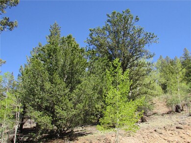 33 Crater Lake Way, Hartsel, CO 80449 - photo 2