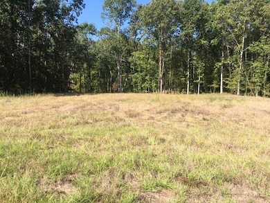 5020 Braemar Park Dr, Oxford, MS 38655 - photo 4