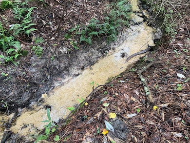 County Road 11, Ariton, AL 36311 - photo 4