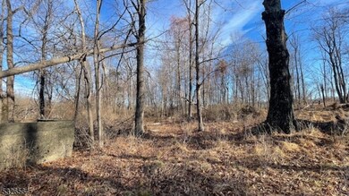 3194 Route 94, Hardyston Twp., NJ 07416 - photo 7