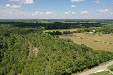 0 John Lunn Rd, Lewisburg, TN 37091 - photo 4