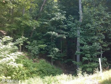 0 Bald Eagle Ln unit 1003177570, Great Cacapon, WV 25422 - photo 2