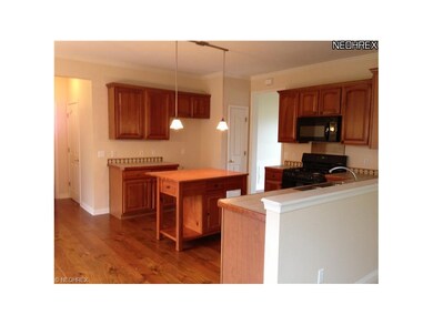 Wood floors and plenty of cabinets.