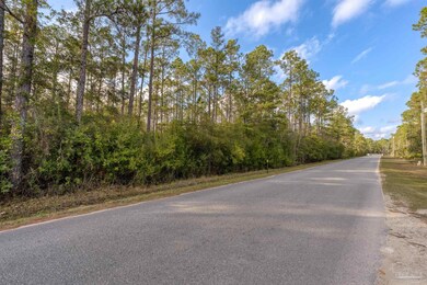 00 Mullet Dr, Freeport, FL 32439 - photo 6