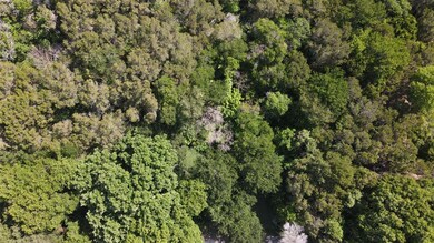 825 Woodhaven Ct, Granbury, TX 76048 - photo 5