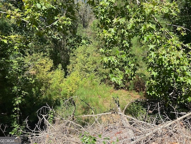 106 Maple Glen Ct, Centerville, GA 31028 - photo 3