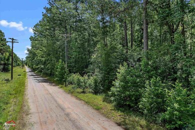View of dirt / gravel road