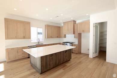 Kitchen with stainless steel dishwasher, light brown cabinets, light wood-type flooring, and recessed lighting