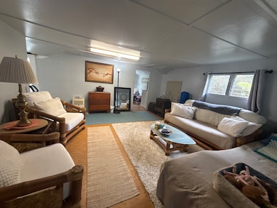 19-4113 Kalani Honua Loop, Volcano, HI 96785 - photo 5