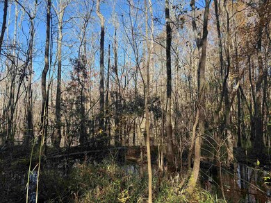 793 Puncheon Creek Dr, Andrews, SC 29510 - photo 7