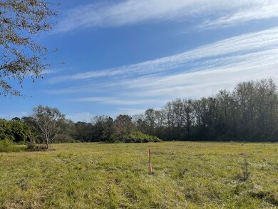 0 Mitchell Rd, Picayune, MS 39466 - photo 5