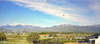 MLS Views