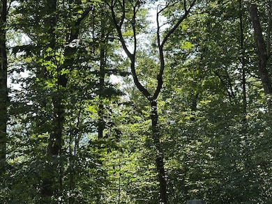 257 Andes Ridge, Ellijay, GA 30436 - photo 6