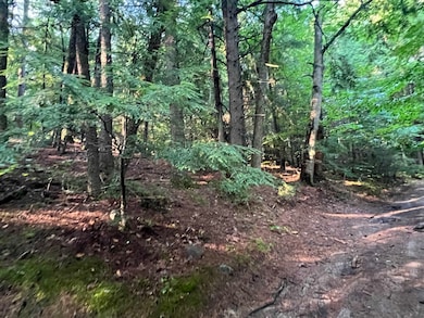 Map 6, Lot 38 Chadwick Hill Rd, Webster, NH 03303 - photo 7