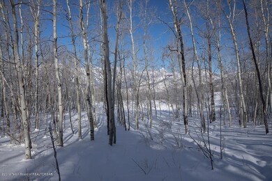 krafty_photos_bannok_rd_winter_web-4
