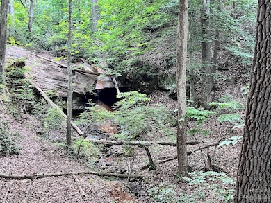 000 Hawks Terrace, Lake Lure, NC 28746 - photo 6