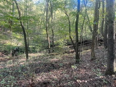 3011 Mark Foster Rd, Talking Rock, GA 30175 - photo 7