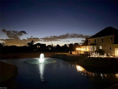 Gorgeous night view, lighted fountain