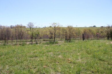 property - view