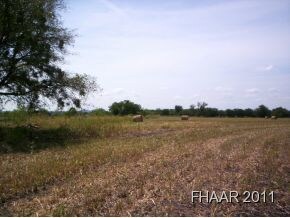 45.478 Acres Fm 580, Copperas Cove, TX 76522 - photo 5