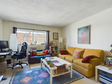 18 Glencoe St unit 36, Brighton, MA 02135 - photo 4