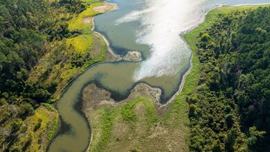 Fm 3173, Westwood, TX 75951 - photo 5