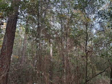 16,17,18 Paradise Cir, Donalsonville, GA 39845 - photo 6