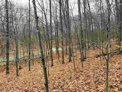 Lot 57 Valley Run Rd unit 57, Custer Township, MI 49615 - photo 5
