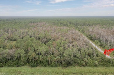 Drone / aerial view featuring a wooded view