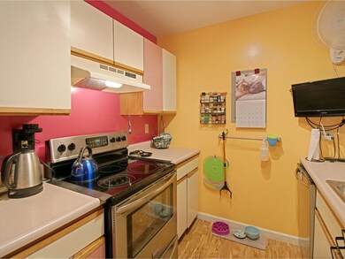 171 Hildred Dr, Burlington, VT 05401 - photo 4