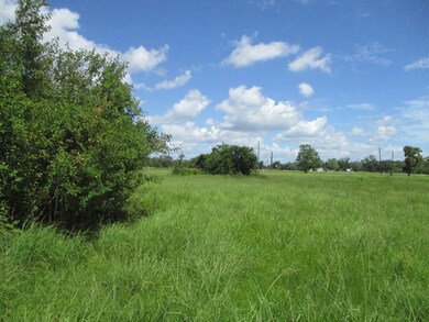 000 Fm 521 Rd, Brazoria, TX 77422 - photo 2