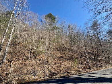 image6 (2)